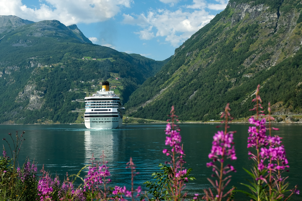 View of a cruise ship in a fjord landscape